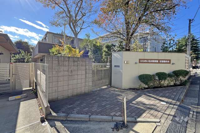 にじのいるか保育園杉並松の木