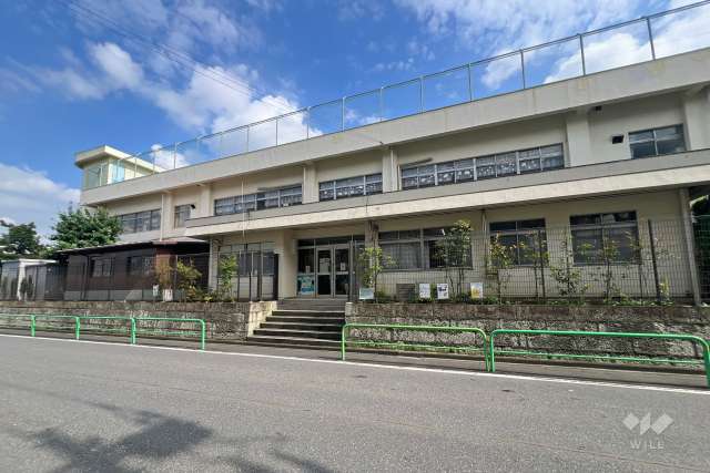 大泉学園幼稚園
