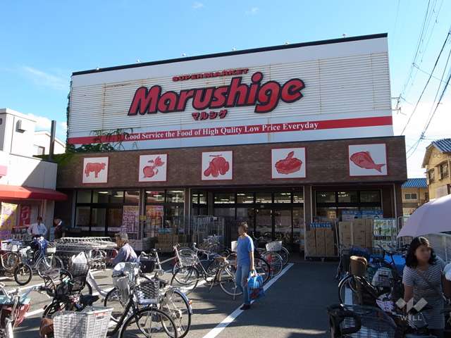 ループ 池田店
