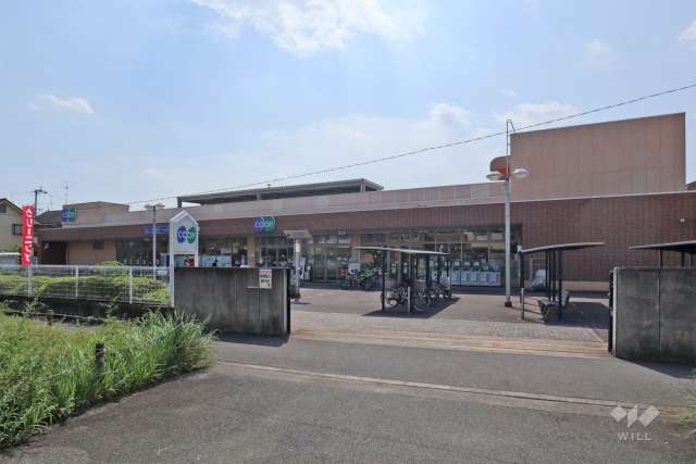 コープ 茨木白川
