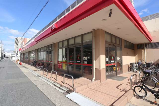 フィール 花の木店