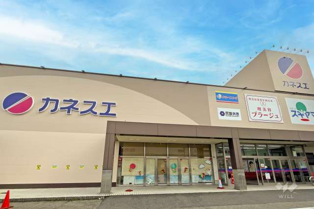 カネスエ 中井田店