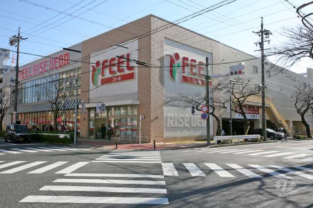 フィール RISE 植田店