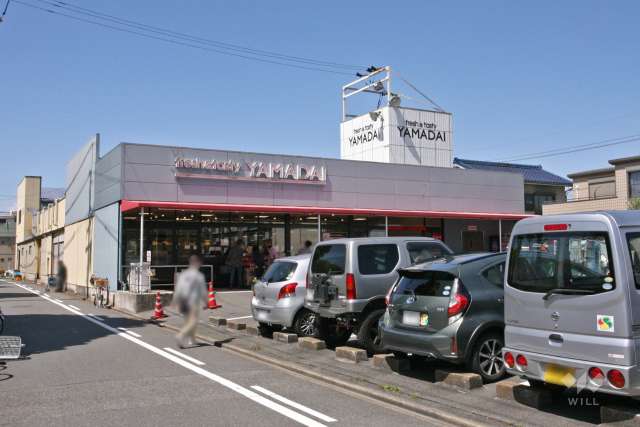 ヤマダイ アオヤマ店
