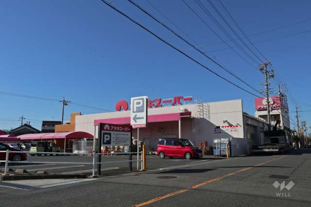 アオキスーパー 大高店