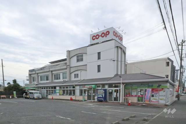 コープ 上八田