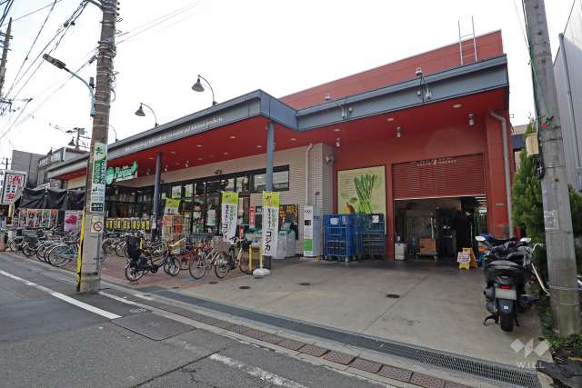 トップパルケ 豪徳寺店