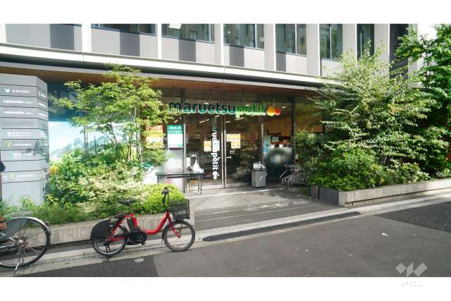 マルエツプチ 新橋五丁目店