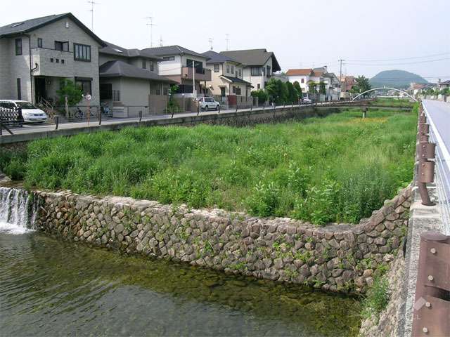 注目スポット