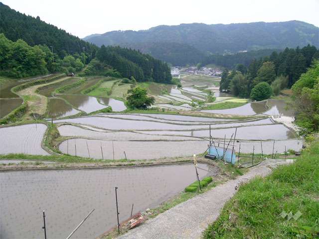 注目スポット