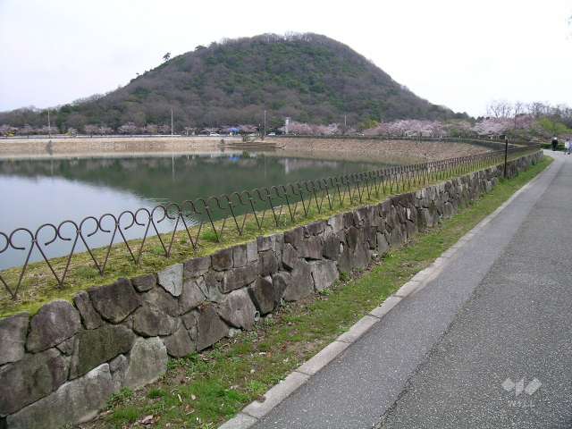 注目スポット