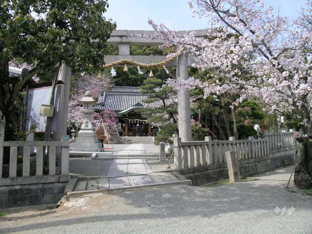 注目スポット