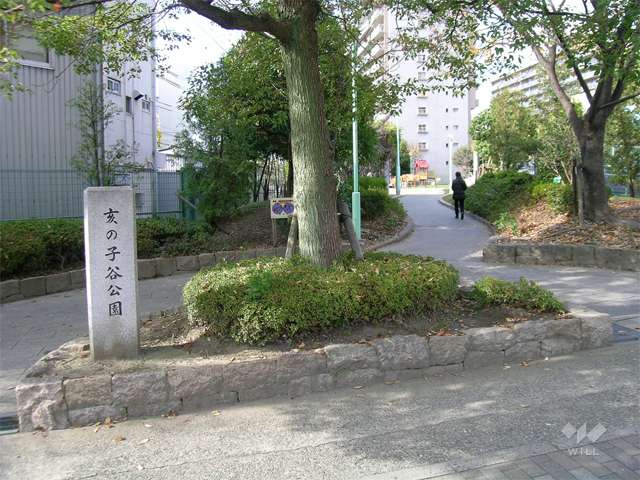 注目スポット