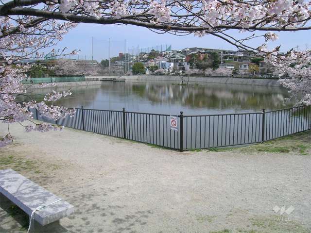 注目スポット