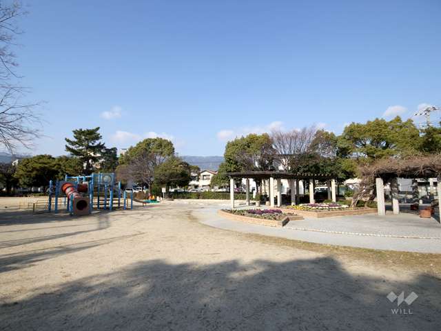 注目スポット