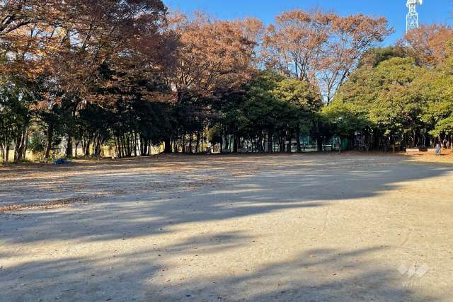 注目スポット