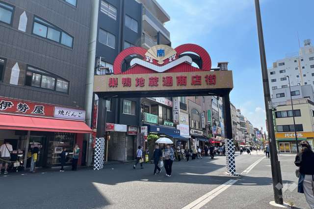 注目スポット