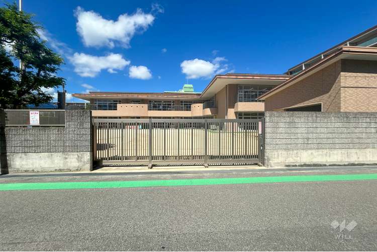 甲子園学院幼稚園の写真