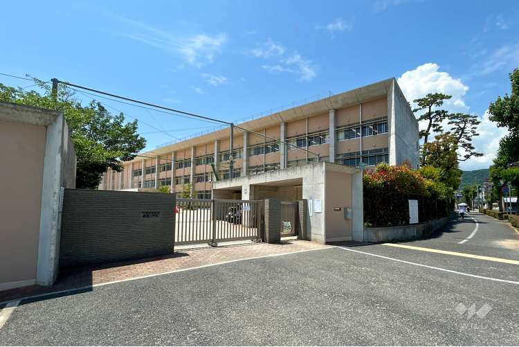 精道小学校の写真
