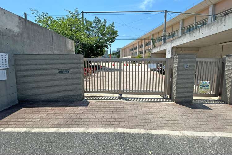 精道小学校の写真