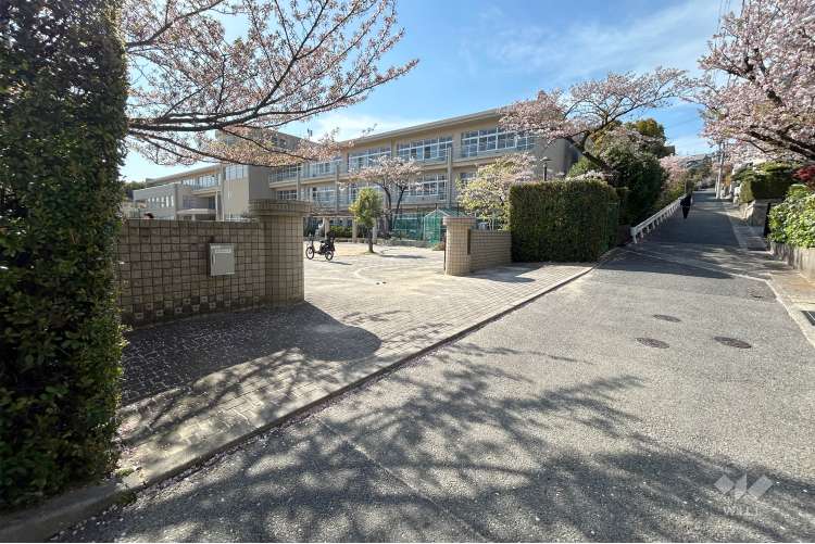 山手小学校の写真