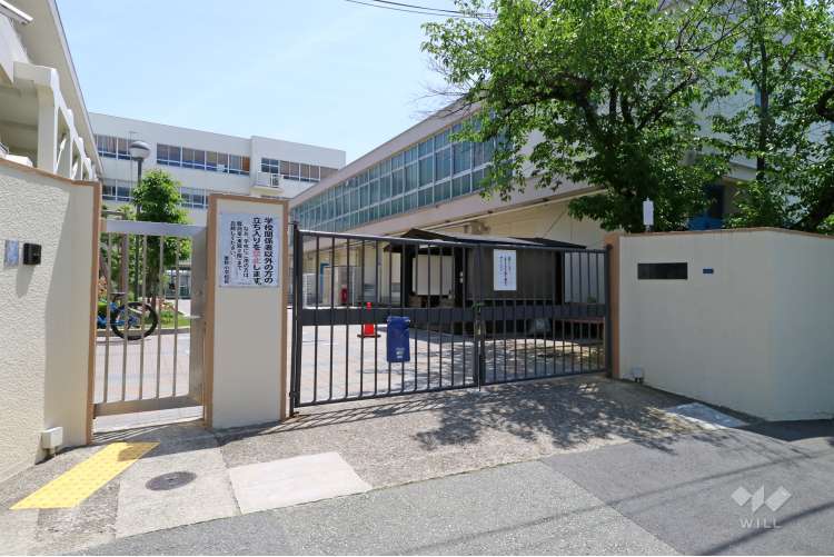 秦野小学校の写真