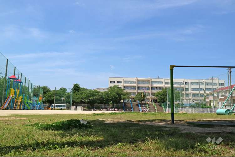 秦野小学校の写真