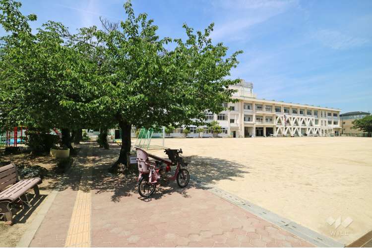 石橋小学校の写真