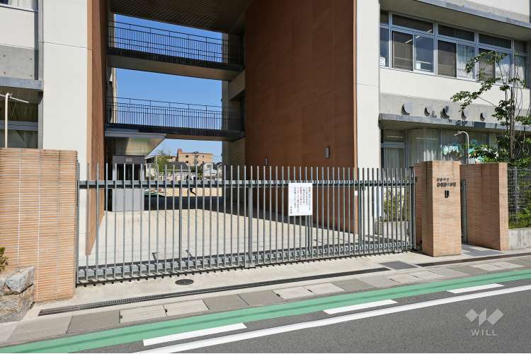 香櫨園小学校の写真