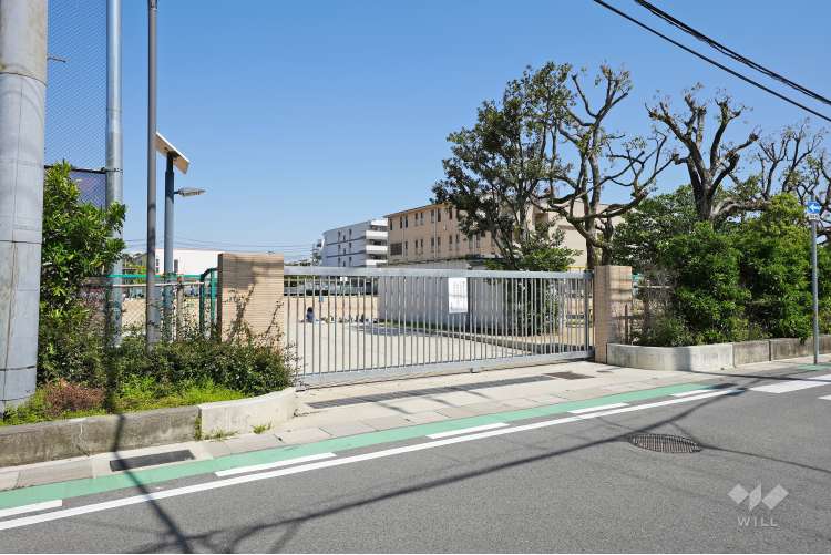 香櫨園小学校の写真