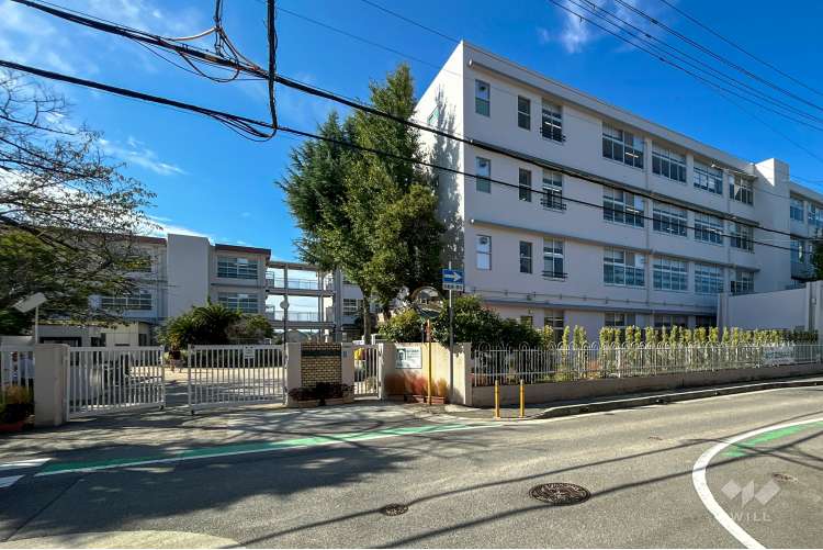 段上小学校の写真