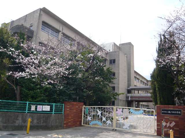 樋ノ口小学校の写真