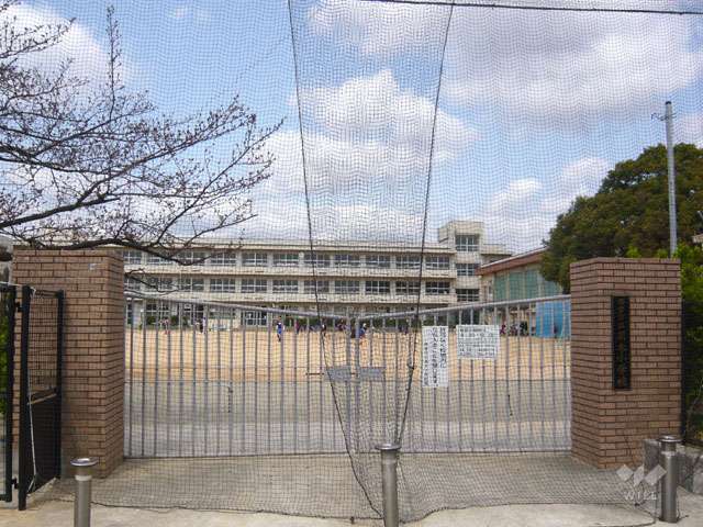 高木小学校の写真