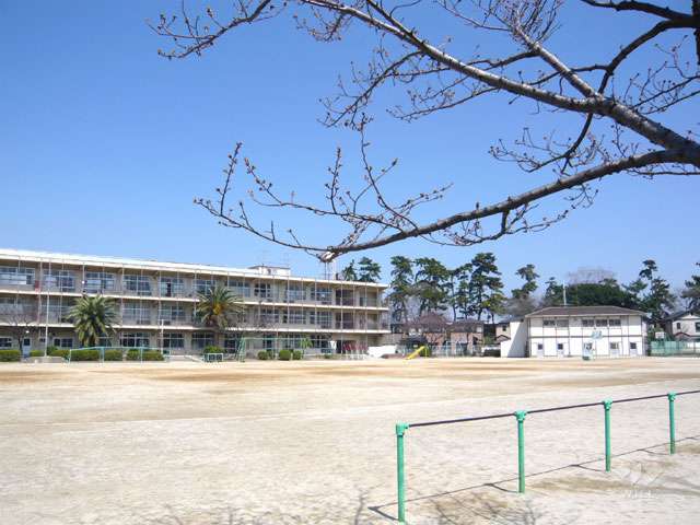 小松小学校の写真
