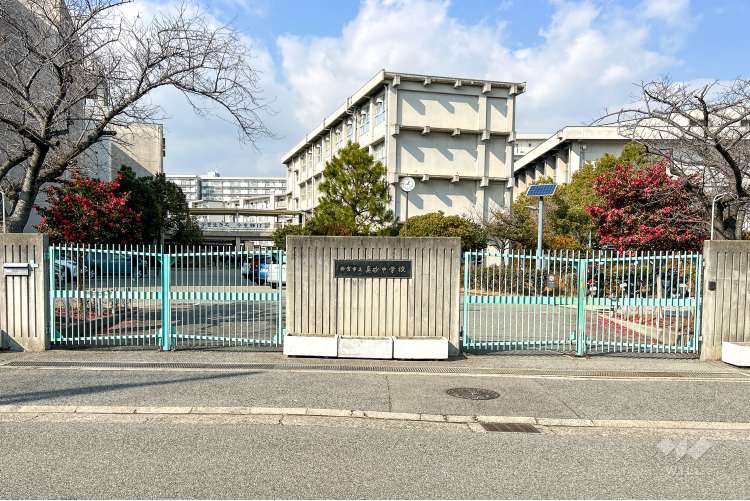 真砂中学校の写真