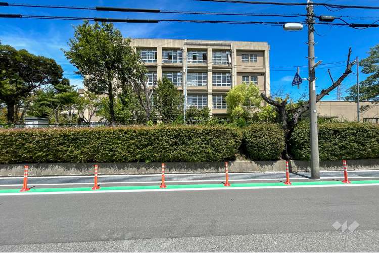 武庫の里小学校の写真