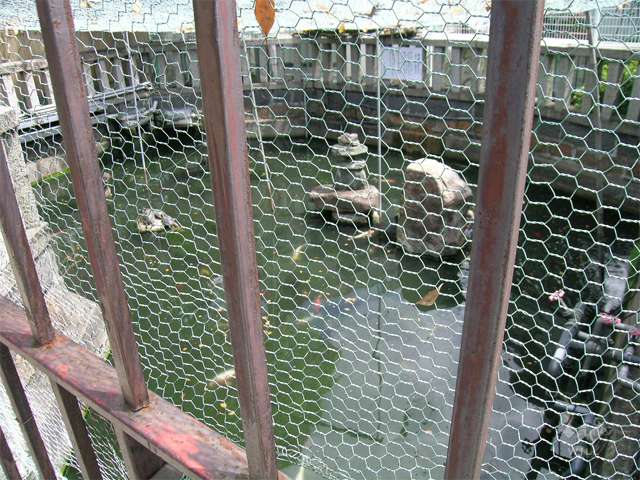 庄本幼稚園の写真