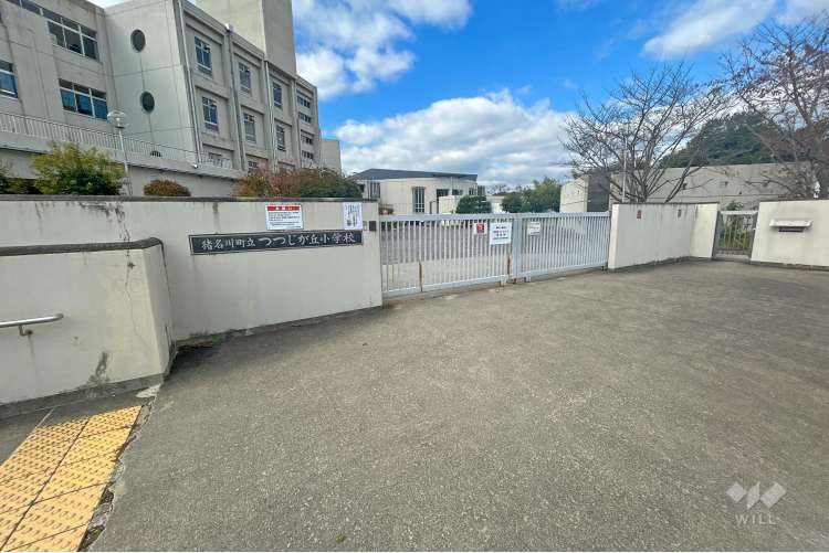 つつじが丘小学校の写真