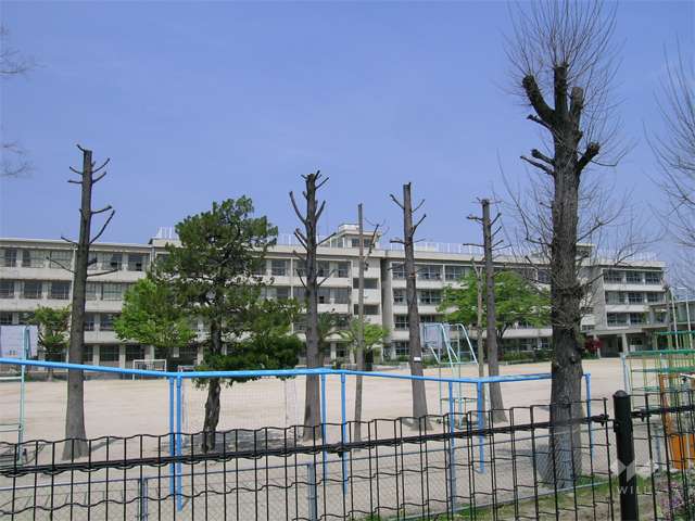 中豊島小学校の写真