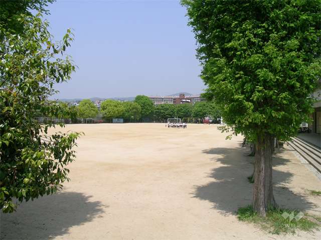 野畑小学校の写真