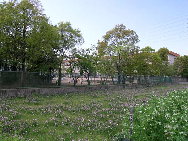 豊島西小学校の写真