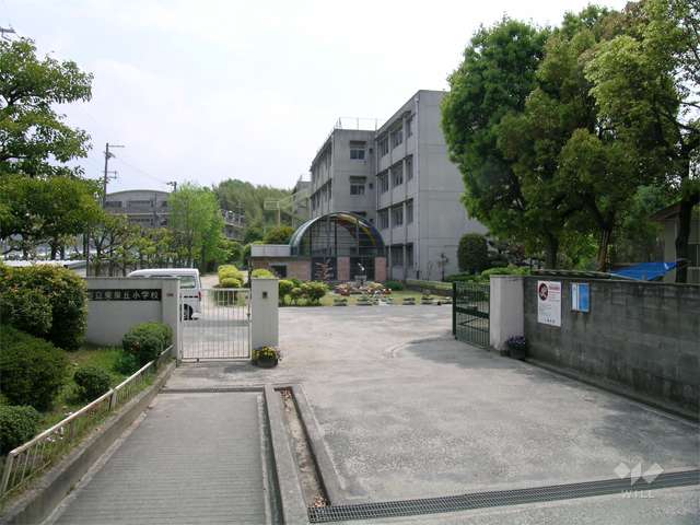 東泉丘小学校の写真