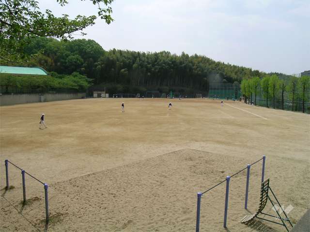 東泉丘小学校の写真