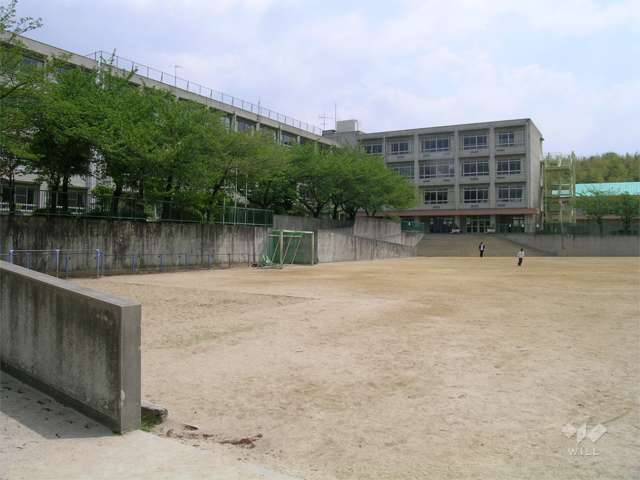 東泉丘小学校の写真