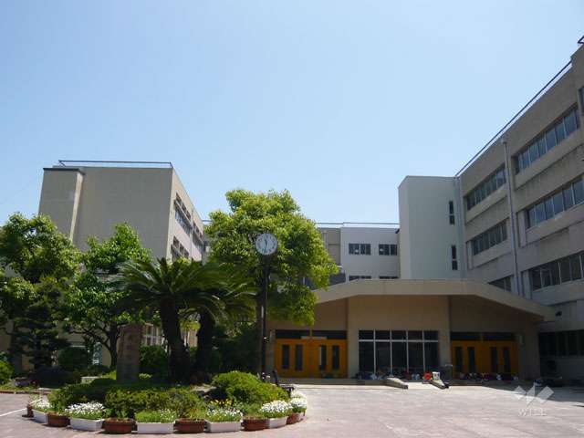 有岡小学校の写真