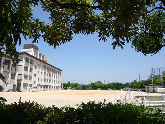 摂陽小学校の写真