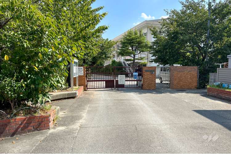 西中学校の写真