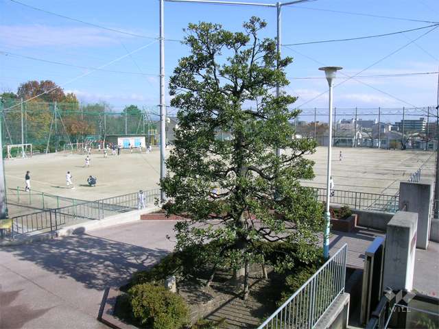 佐井寺小学校の写真