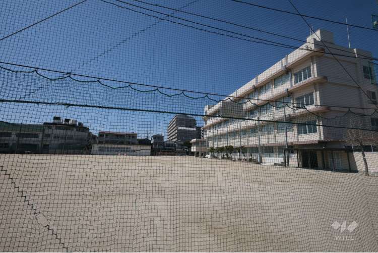 玉櫛小学校の写真