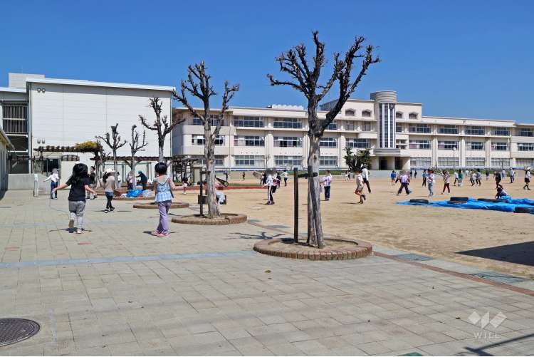 魚崎小学校の写真